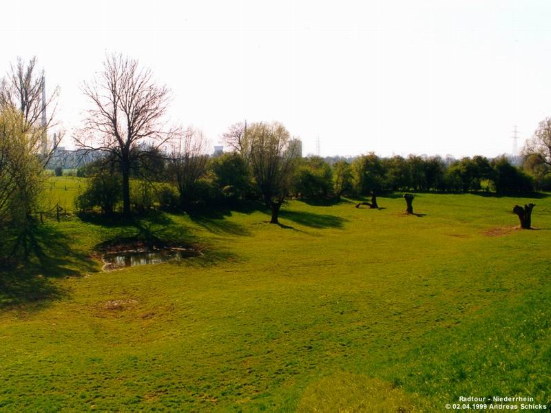 Fotografieren Fahrradtour Rhein